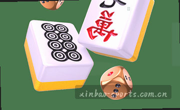 接入支持通道